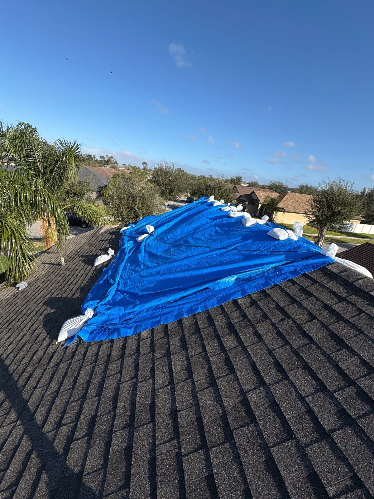 Blue storm tarp on a shingle roof in Riverview before metal replacement