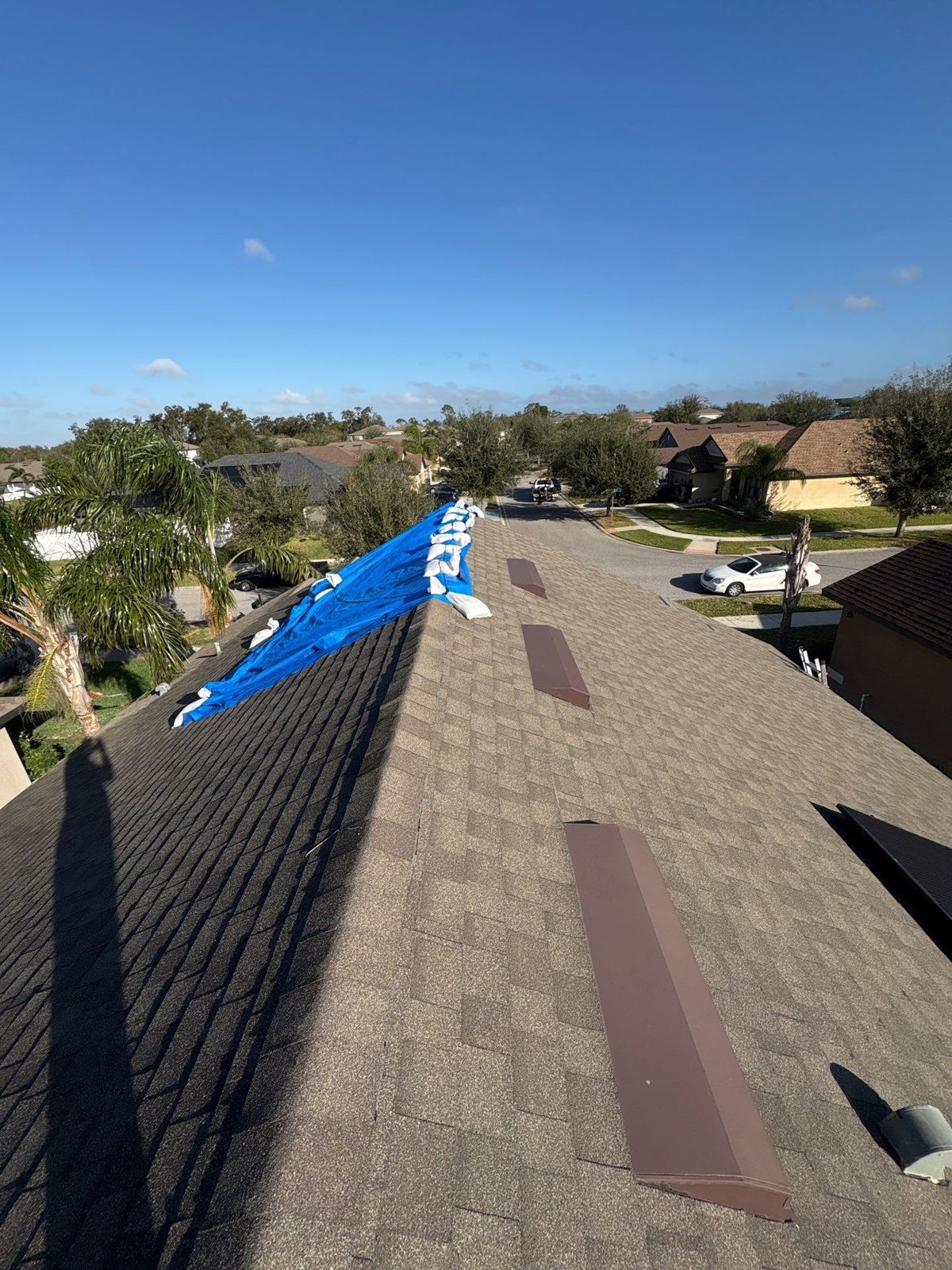 Tarped ridge on an older shingle roof in Riverview FL