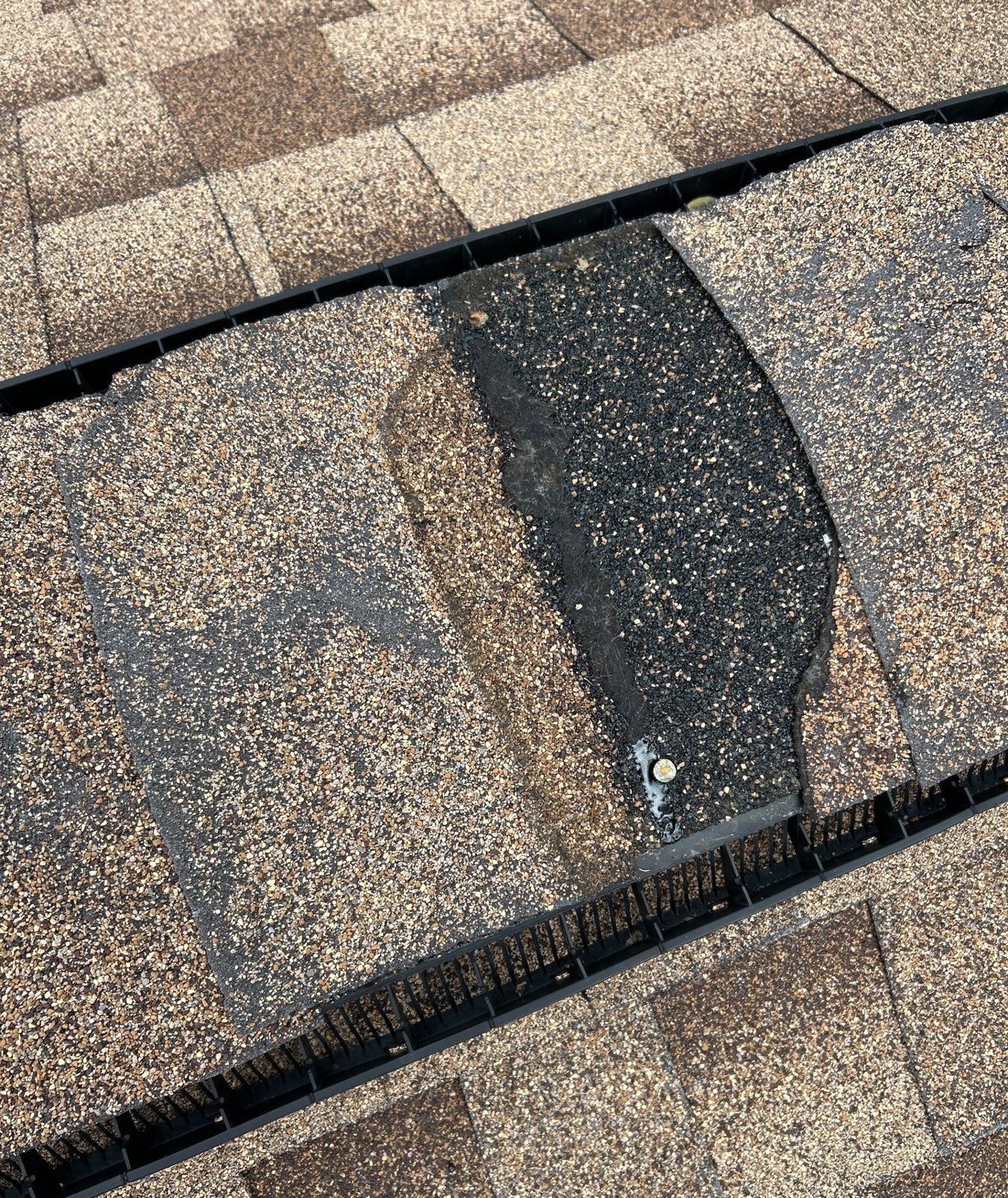 Wind damaged ridge cap shingle torn away on a Tampa FL roof before repair