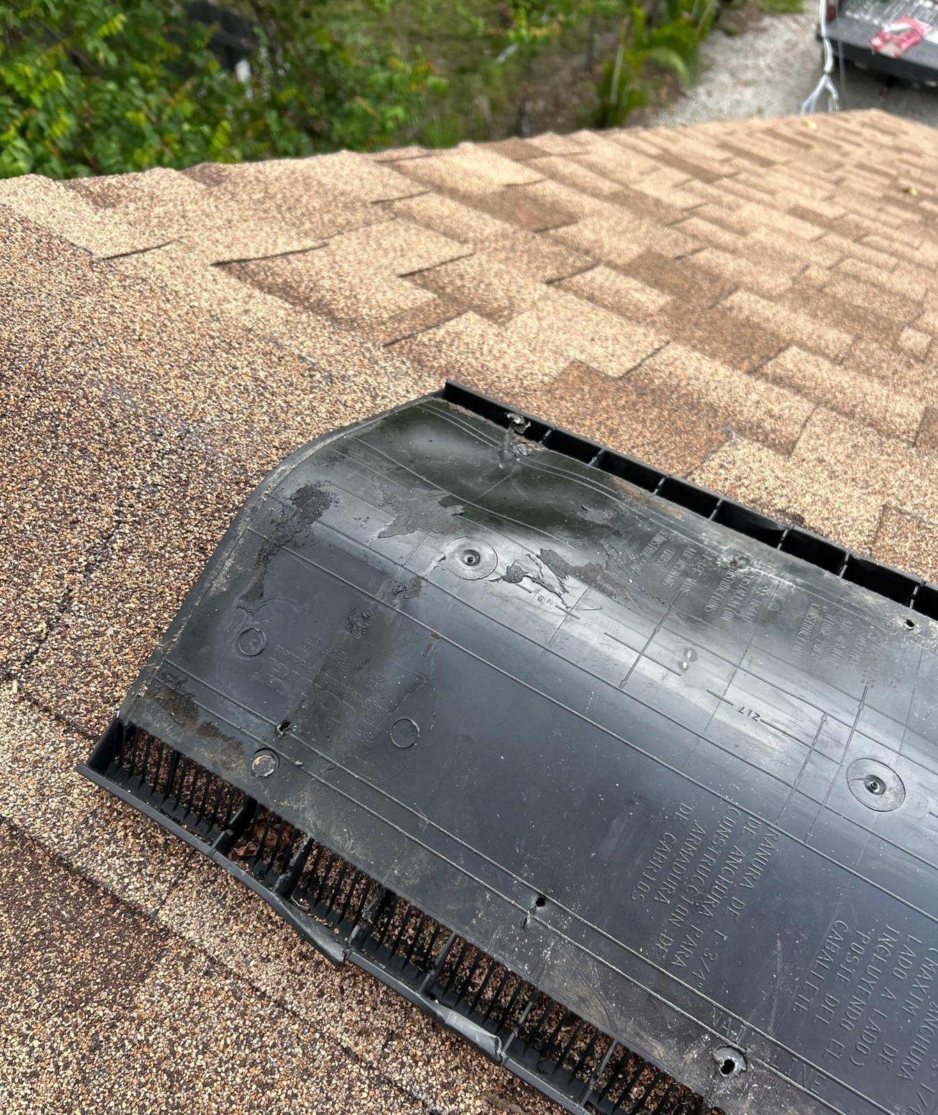 Dislodged ridge vent on a shingle roof in Tampa FL before repair