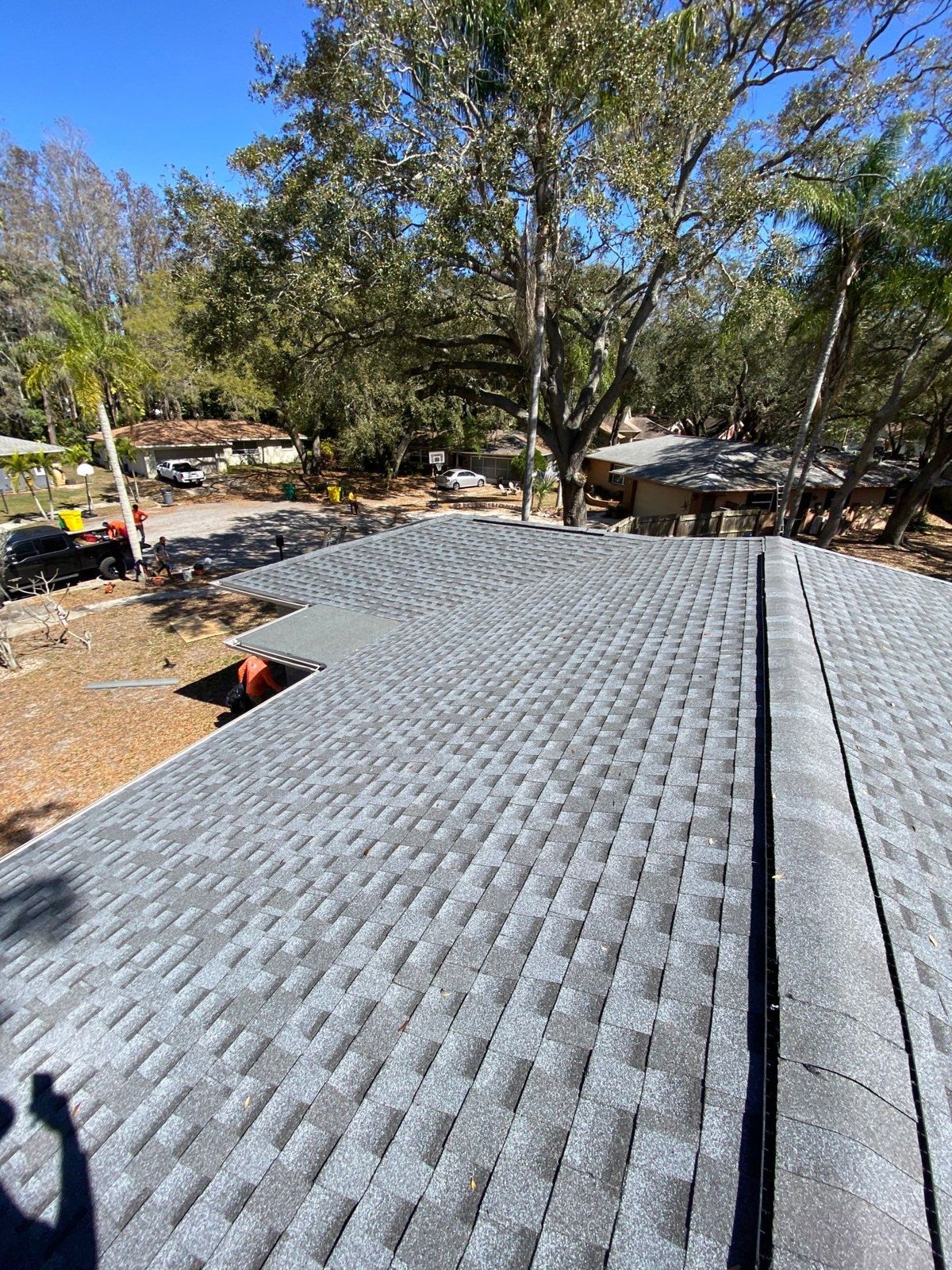 Finished architectural shingle roof in Palm Harbor FL