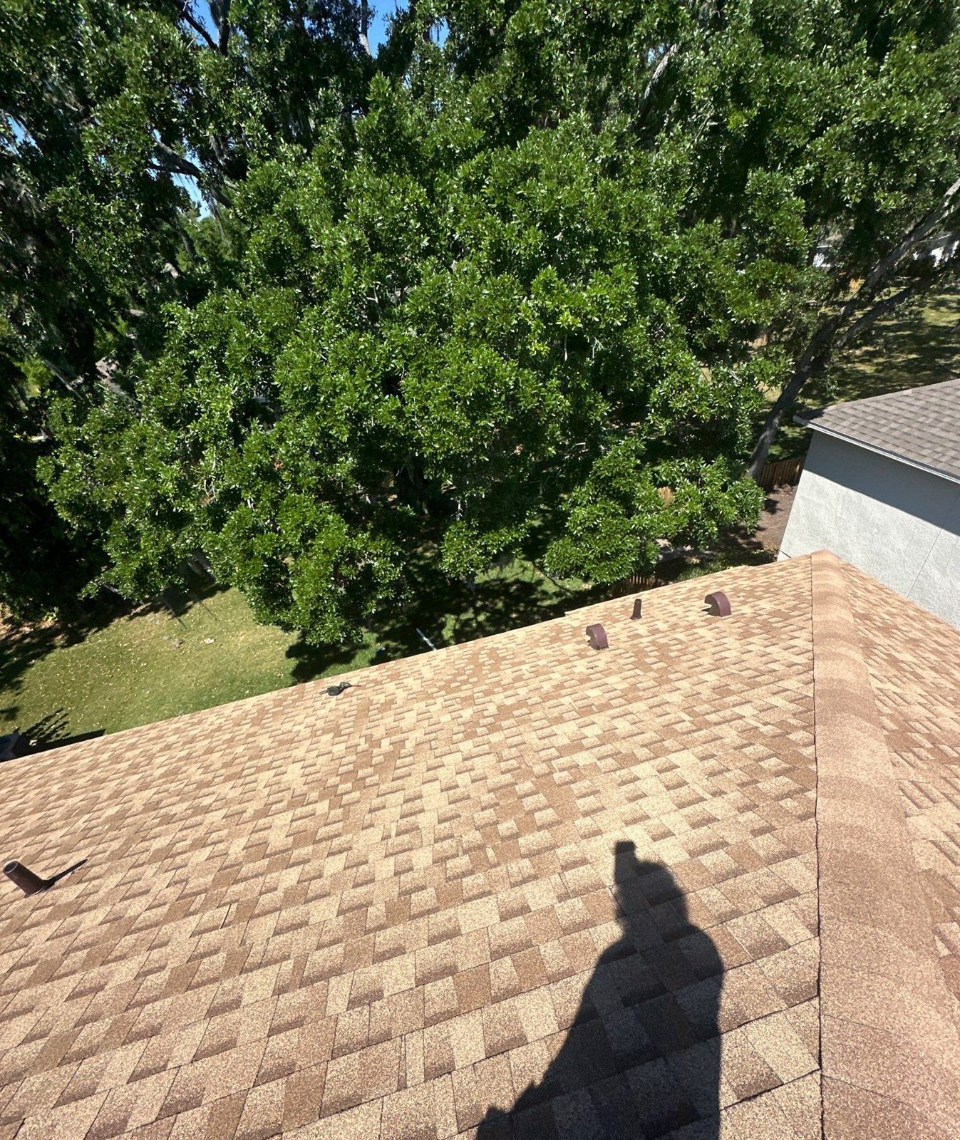 Finished architectural shingle roof field with new vents in Riverview FL