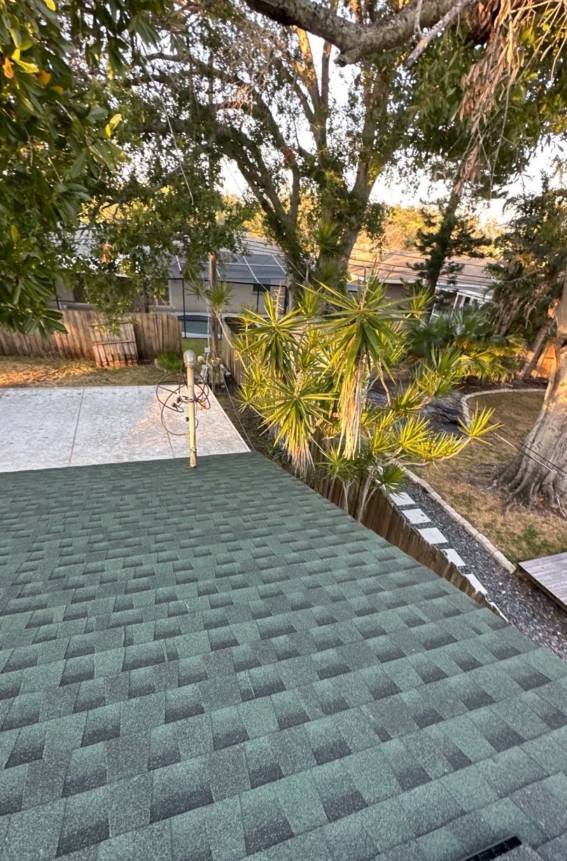Finished dark green architectural shingle slope over the backyard in St. Petersburg FL