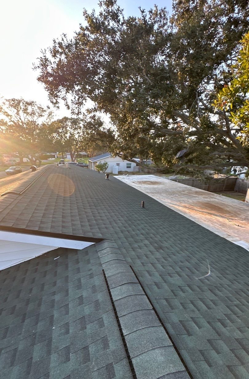 New dark green architectural shingles with ridge caps and vents in St. Petersburg FL