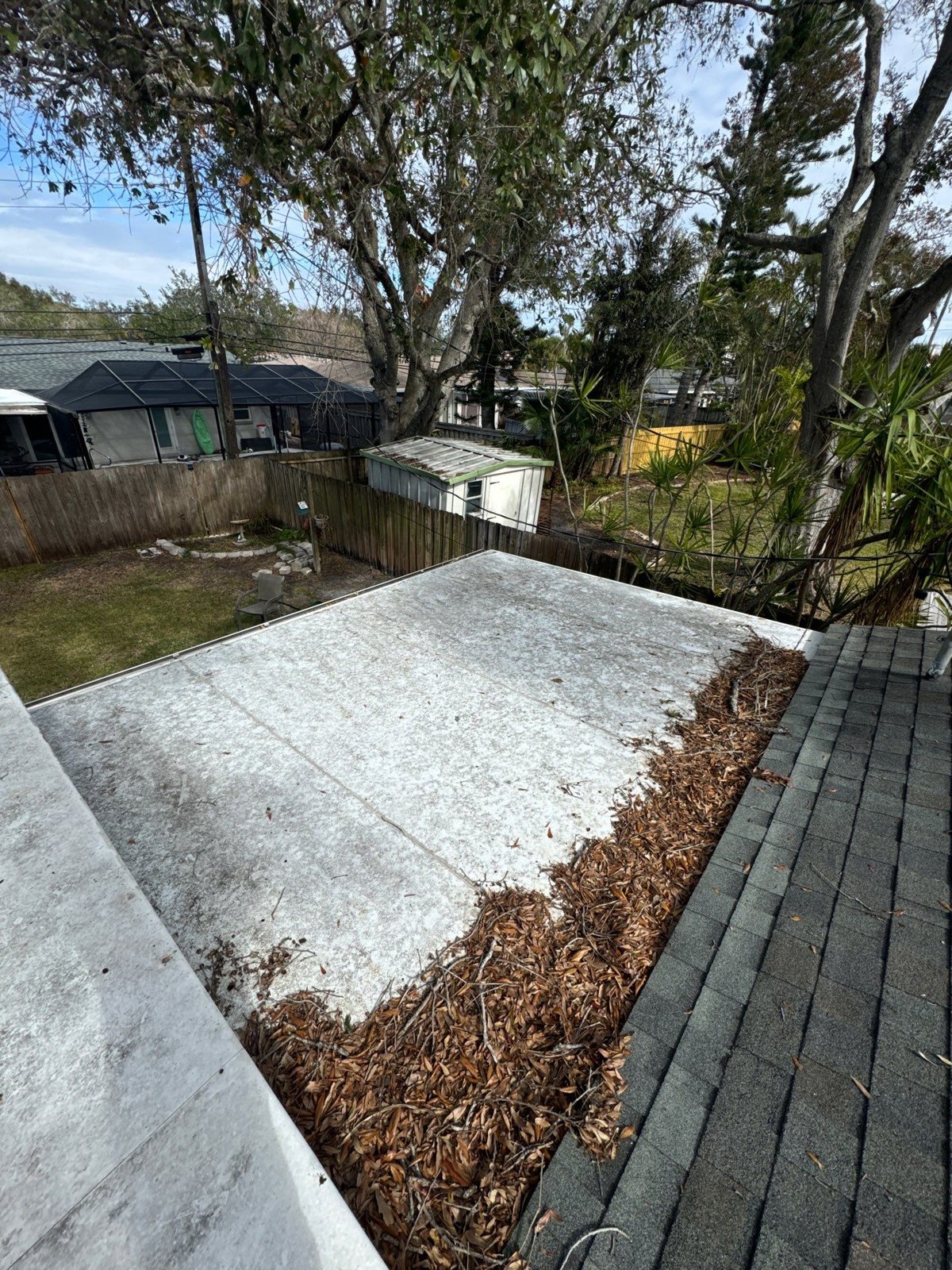 Low-slope roof section covered in leaf debris before replacement in St. Petersburg FL