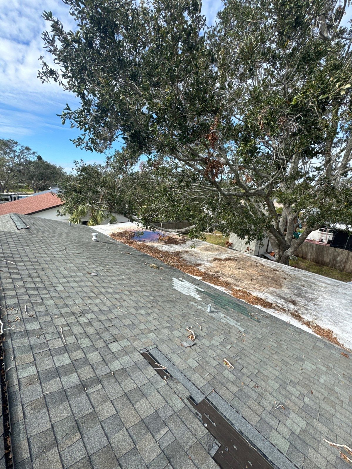 Aging gray shingle roof with slipped shingles before replacement in St. Petersburg FL