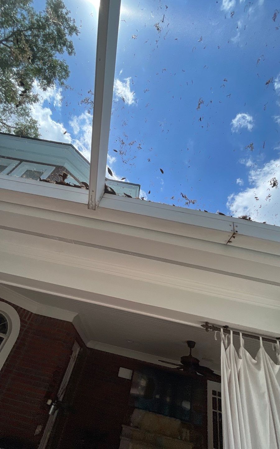 Debris on the edge of a low porch roof before replacement in Tampa